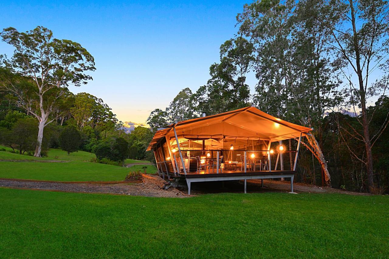 Starry Nights Luxury Camping Woombye Ngoại thất bức ảnh