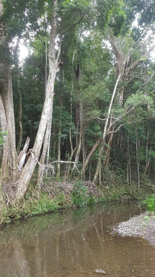Starry Nights Luxury Camping Woombye Ngoại thất bức ảnh