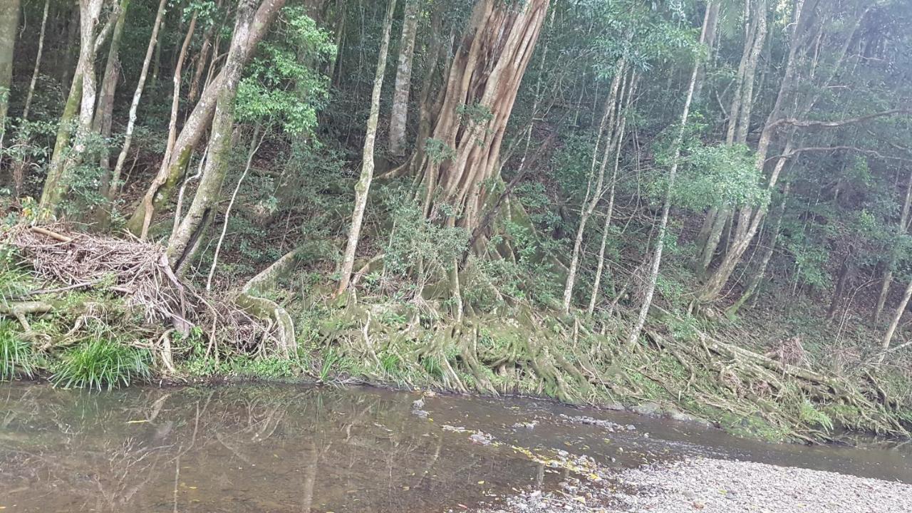 Starry Nights Luxury Camping Woombye Ngoại thất bức ảnh